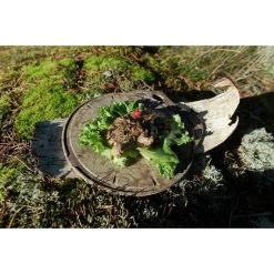 Kupilka Kaarna M - Planche à Découper-Original (Marron) -Camping En Plein Air kupilka kaarna m planche a decouper original marron 2